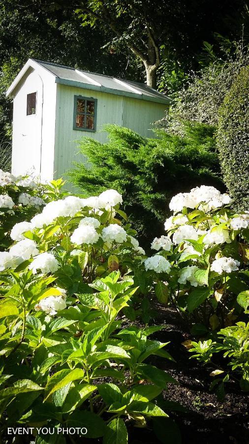 Les Hauts De La Cluse Wimille Ngoại thất bức ảnh